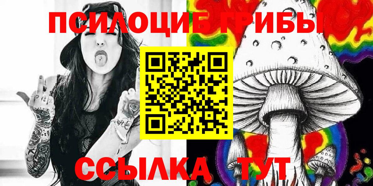 Псилоцибиновые грибы Psilocybe  Вход с VPN  Кинешма 