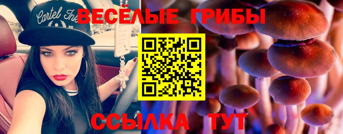 Галлюциногенные грибы Cubensis Кинешма